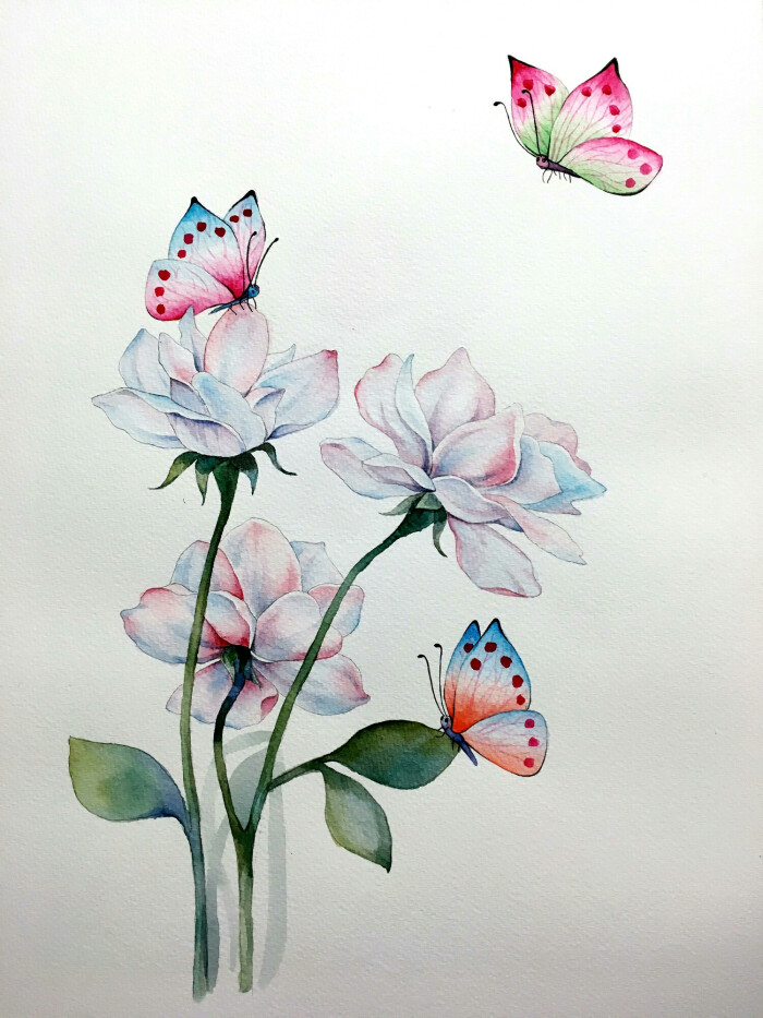 花卉 水彩画