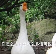 嘻嘻最近很喜欢的大白鹅表情包