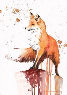 狐狸的画