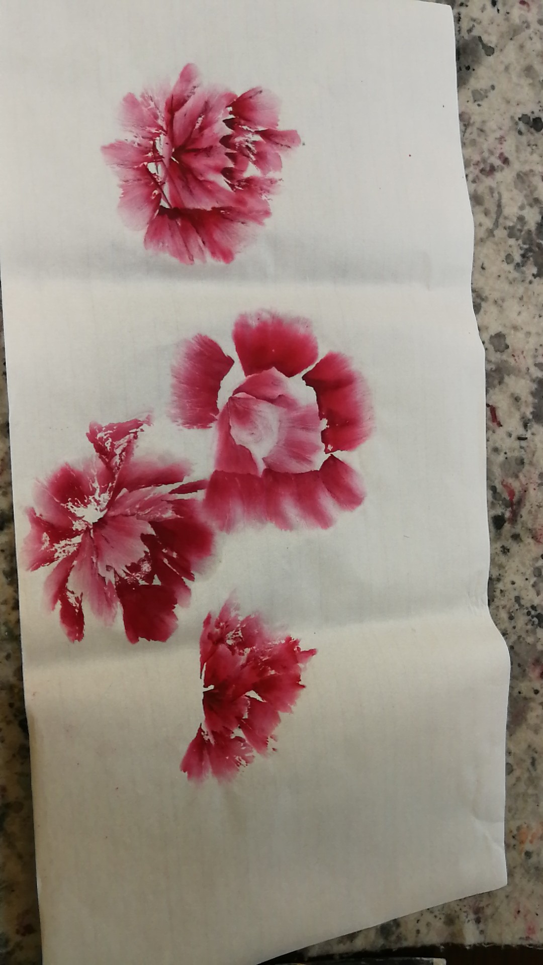 牡丹花画法