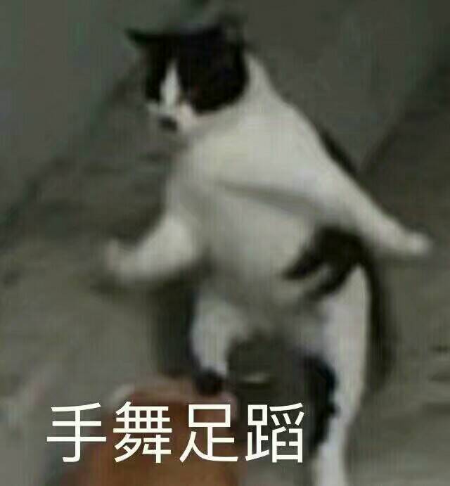 沙雕表情包