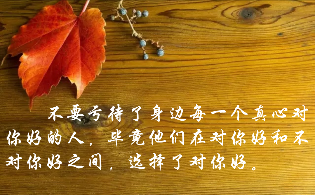 不要亏待了身边每一个真心对你好的人,毕竟他们在对你好和不对你好