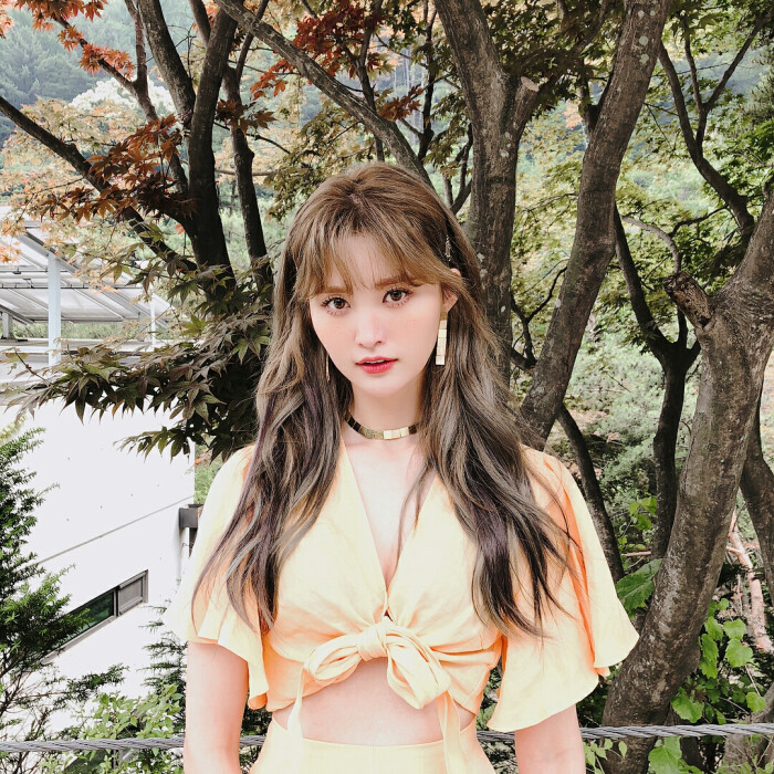 exid 朴正花