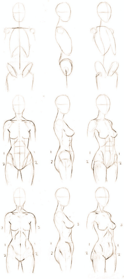 【绘画教程】绘画教程)人体,素描,身体结构