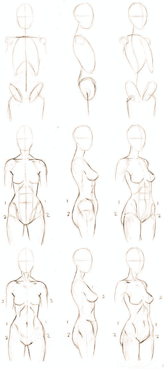 【绘画教程】绘画教程()人体,素描,身体结构