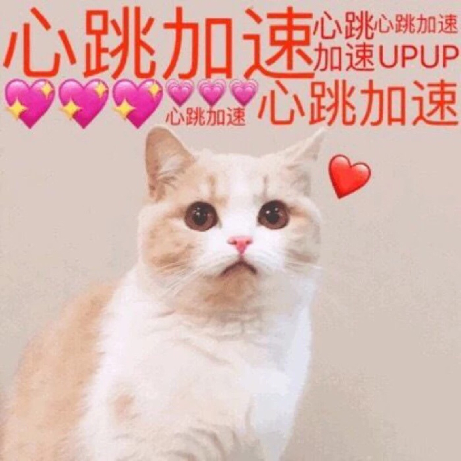 爱心系列 小心心表情包 软妹表情包