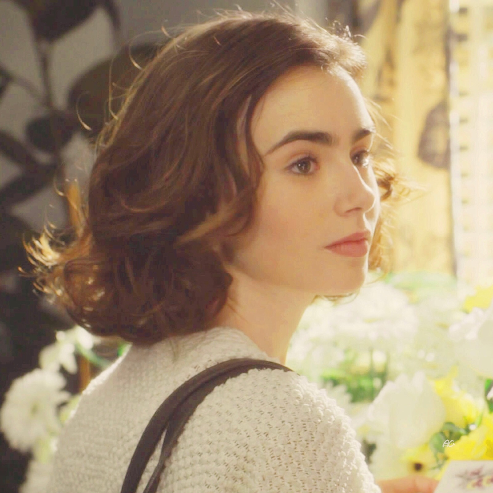 lily collins