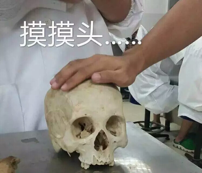 表情包 
