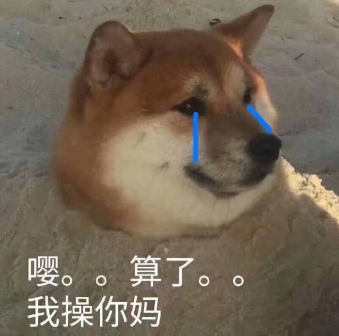 小动物表情包