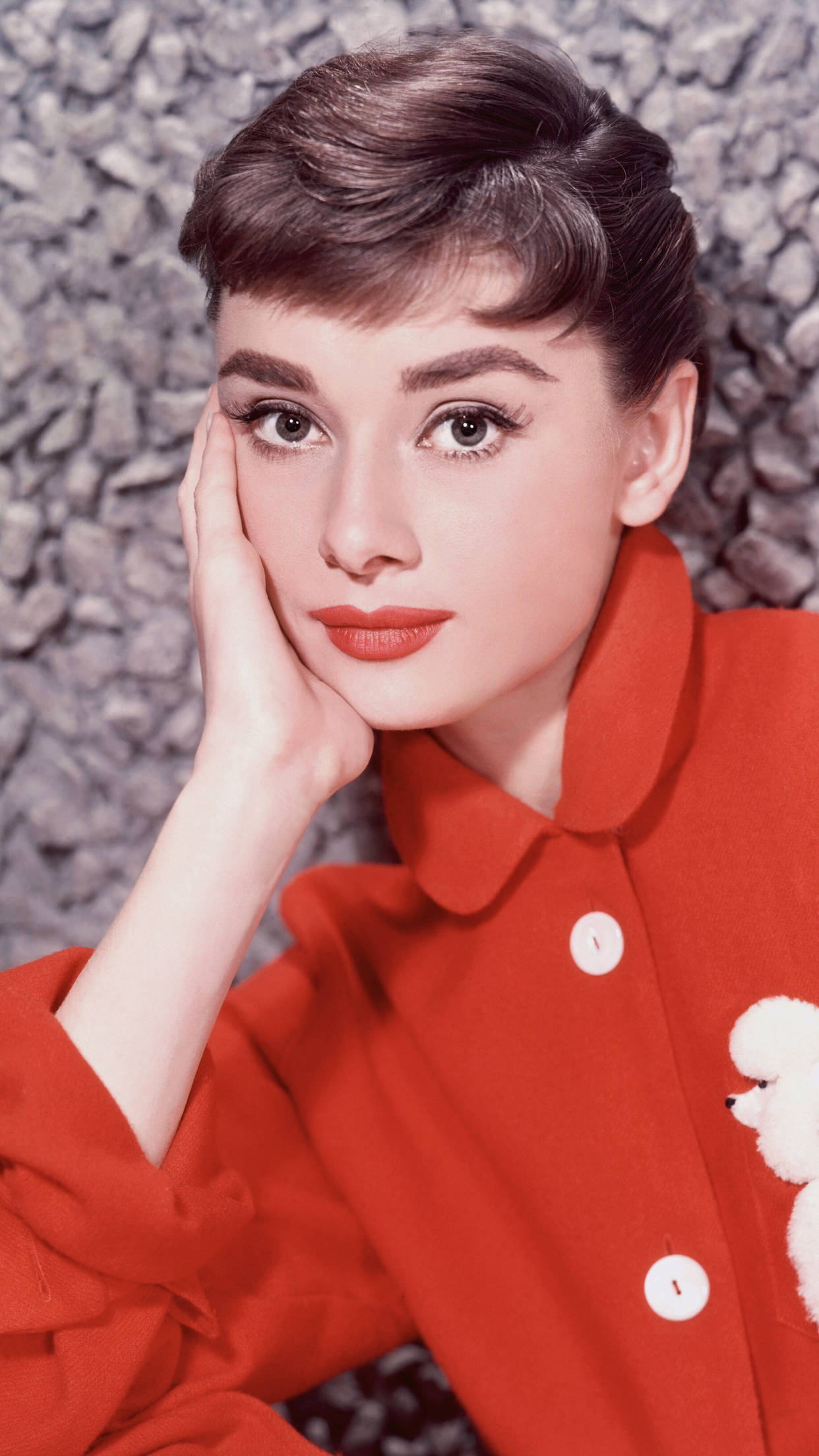 audrey hepburn