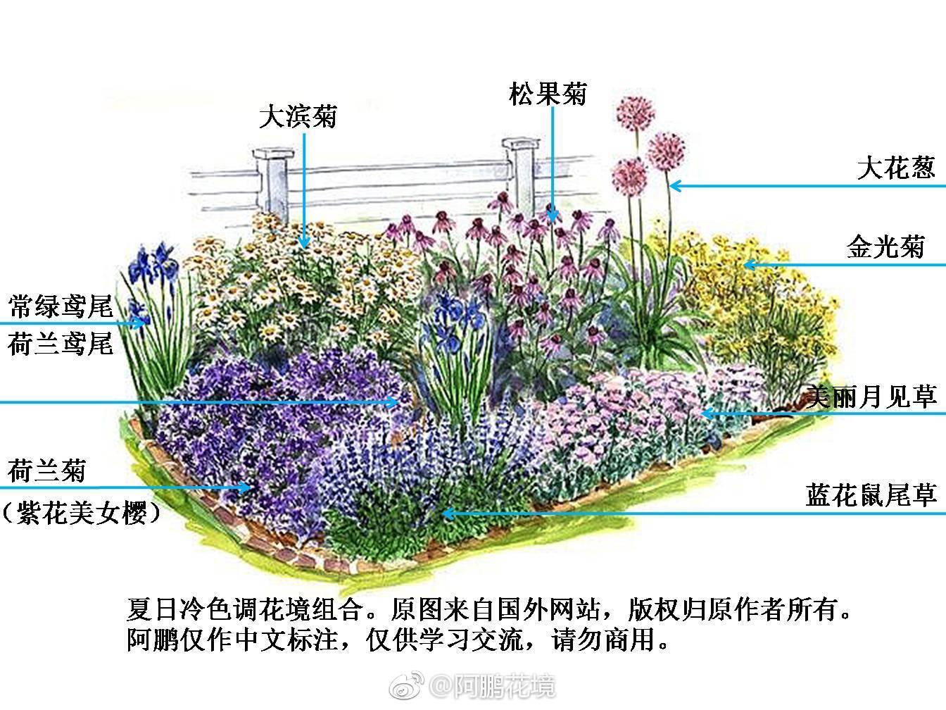 花境种植示例