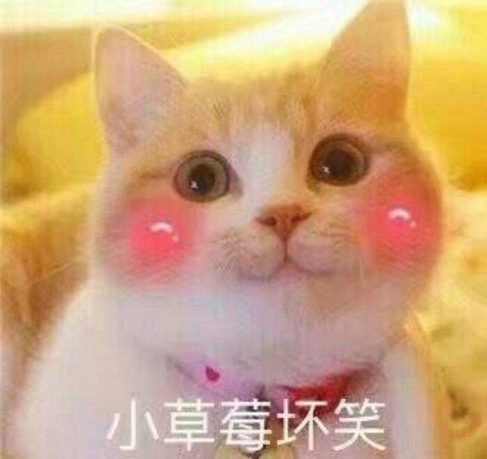 少女心表情包