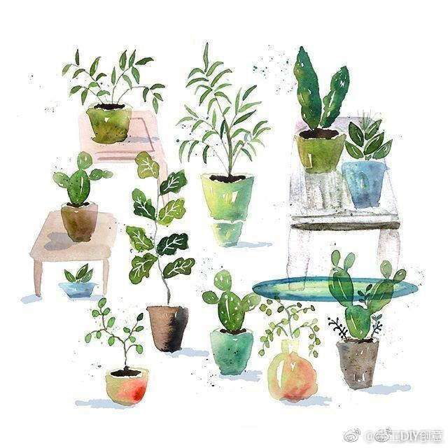 小清新绿植手绘水彩素材 via:inksnthings