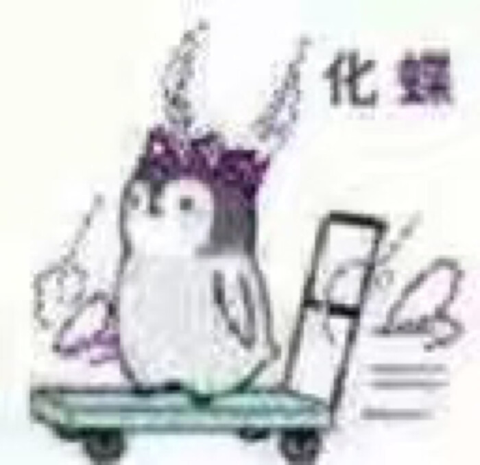 小企鹅 表情包 可爱