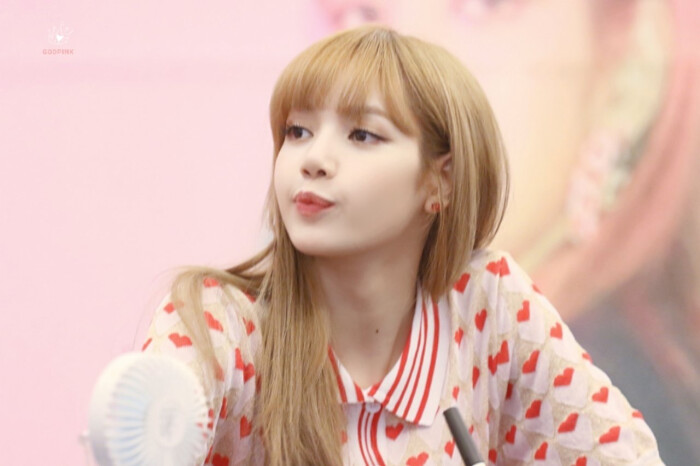 lisa 