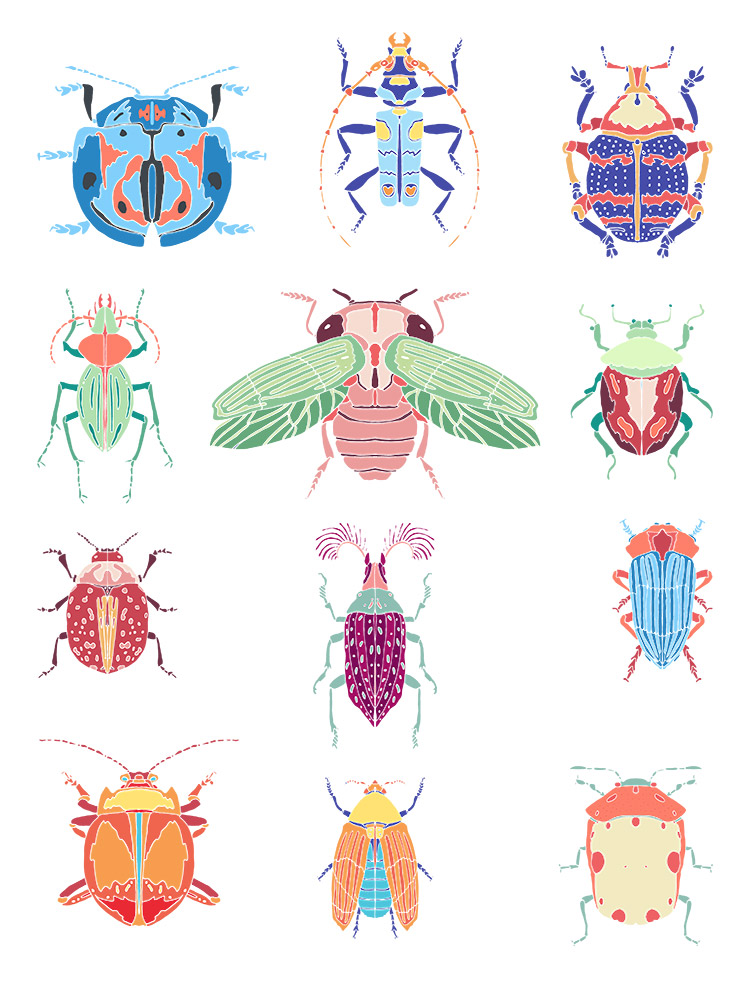 甲虫昆虫独角仙知了瓢虫蚱蜢动物水彩儿童风格插画png矢量素材