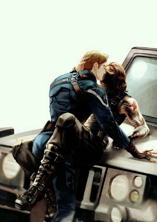 stucky 盾冬