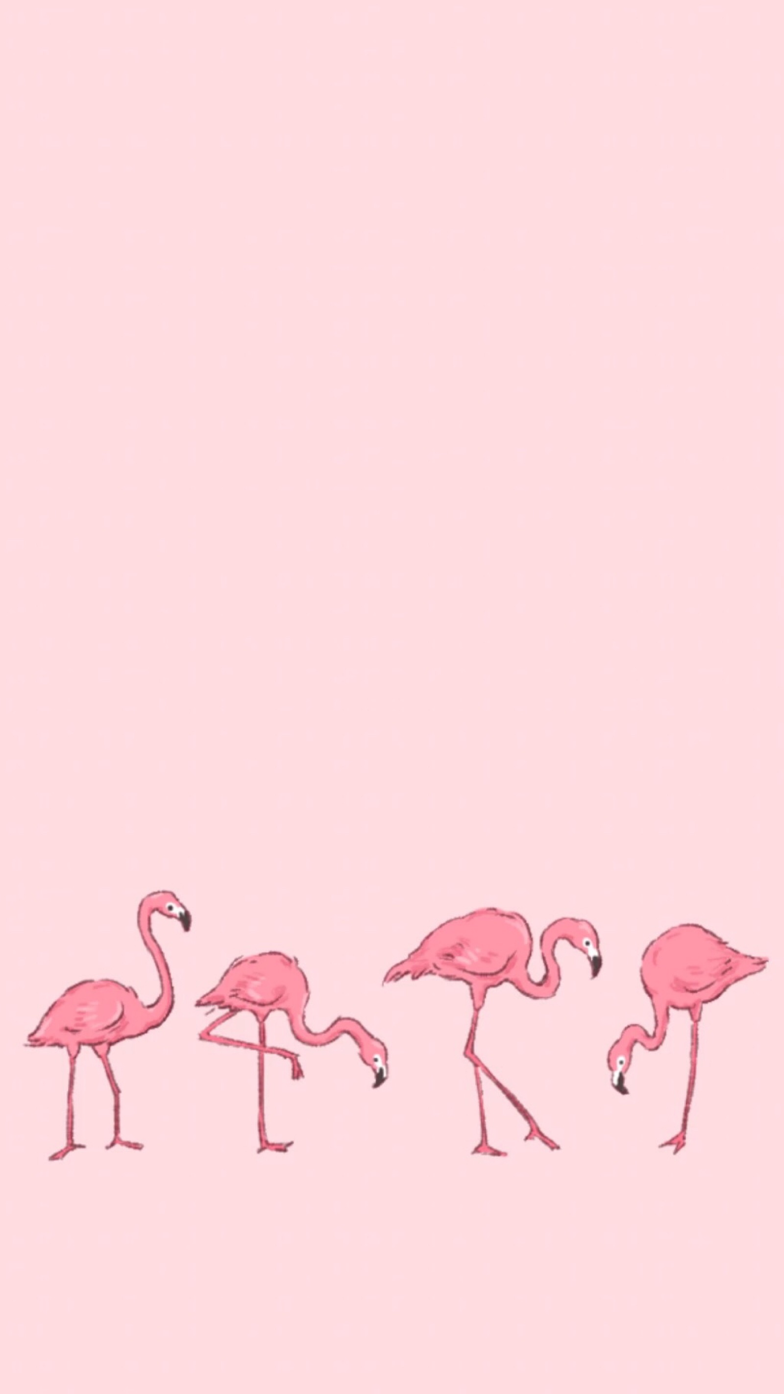 粉红豹