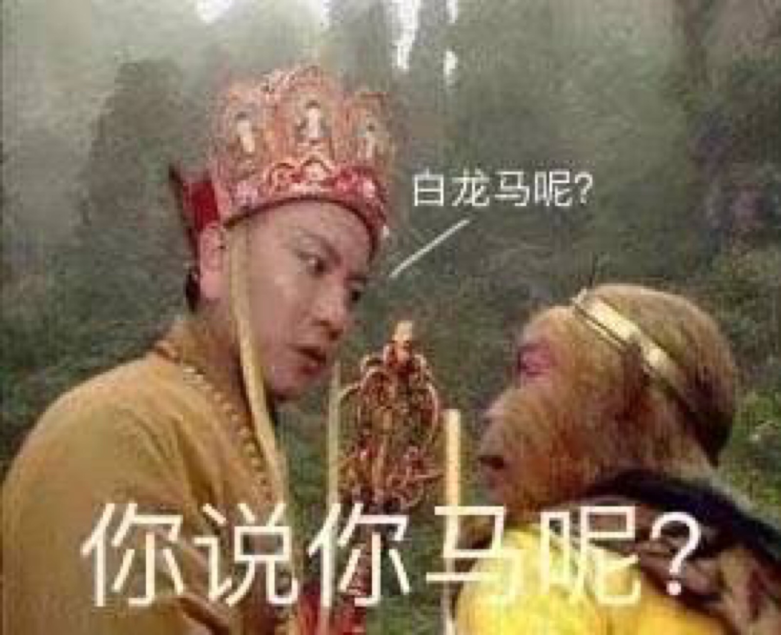 你说你马呢/沙雕表情包
