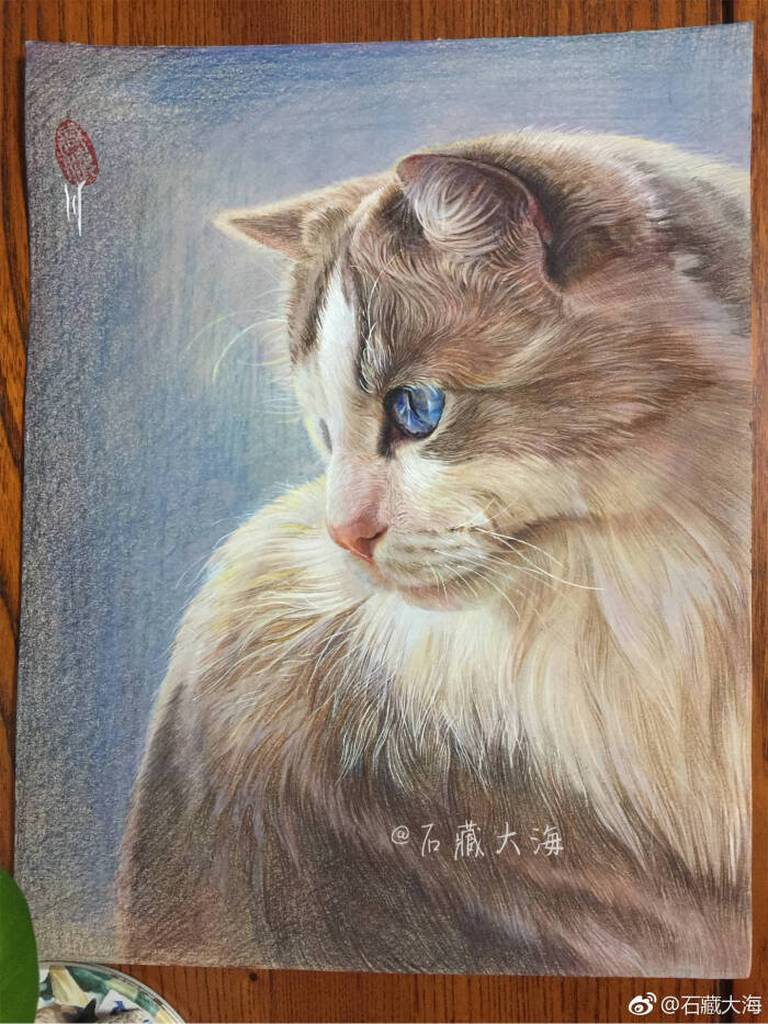 彩铅画 猫咪