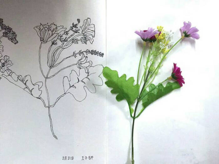 儿童画 写生 速写 线描 静物 蔬菜 水果 花…-堆