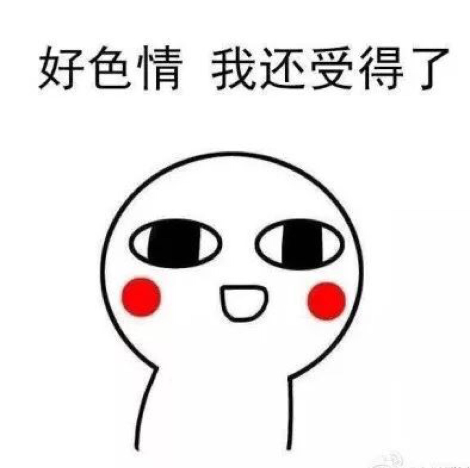 熊猫头表情包合集 蘑菇头 宠物 开车 斗图 表情