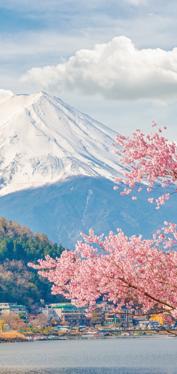 壁纸,富士山,粉