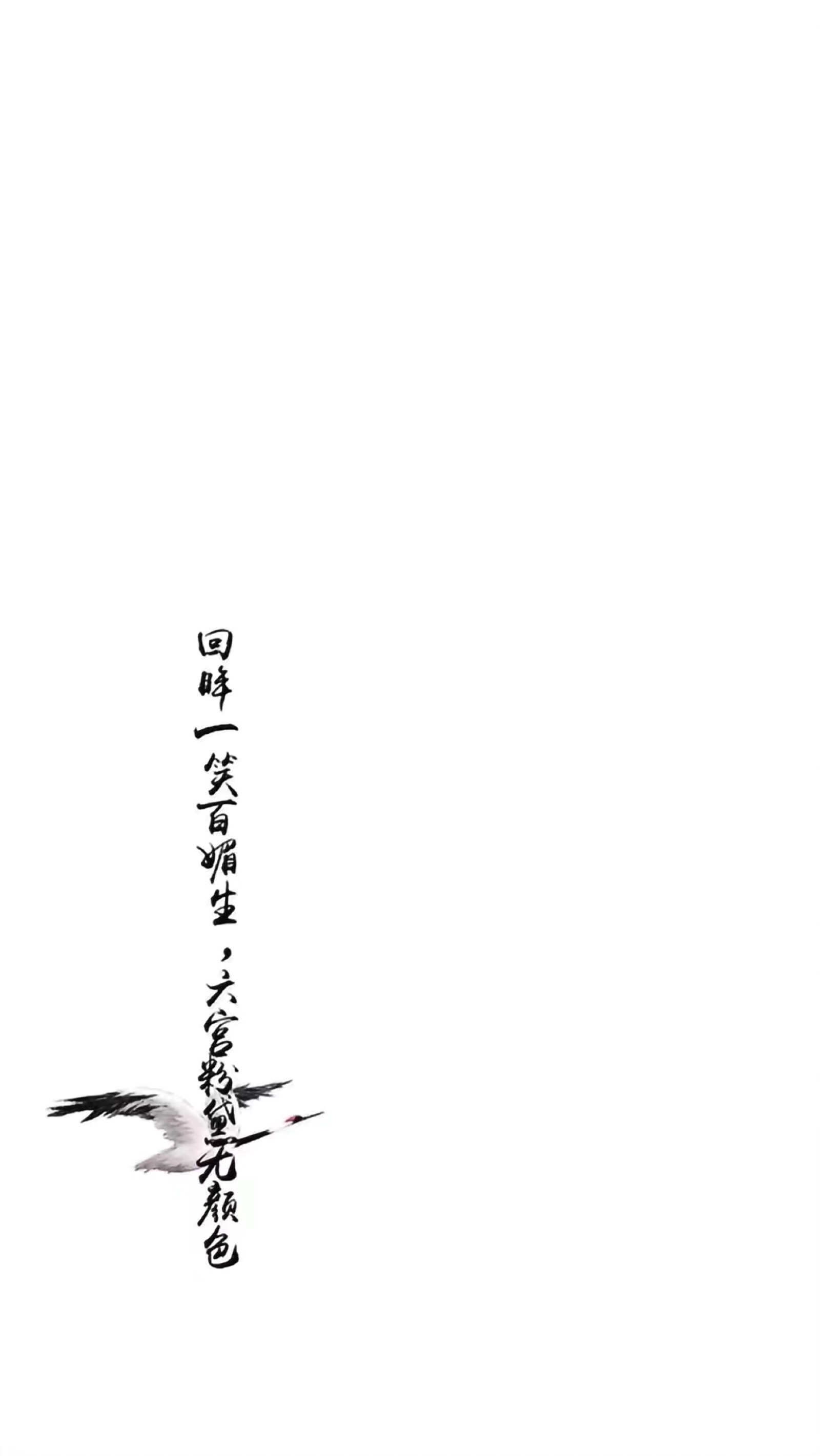 白色 简约 壁纸 语录 古风 黑底 by:可爱雯 图源qq by:可爱雯