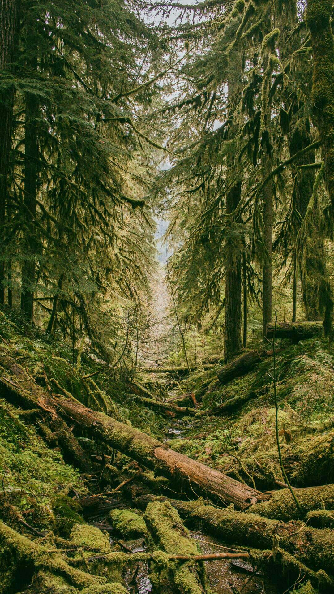 唯美 自然风光 壁纸 超漂亮风景