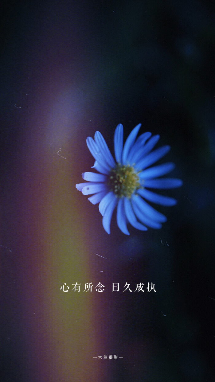 执念