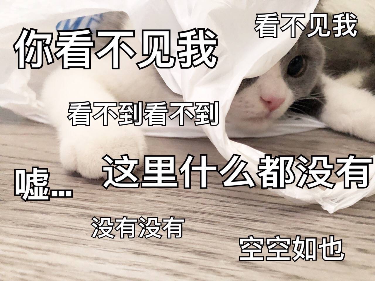 你看不见我看不见我看不到看不到嘘这里什么也没有没有没有空空如也