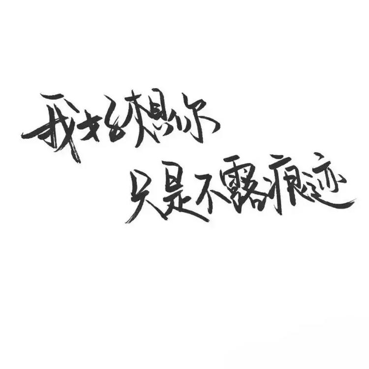 白底黑字情话头像系列
