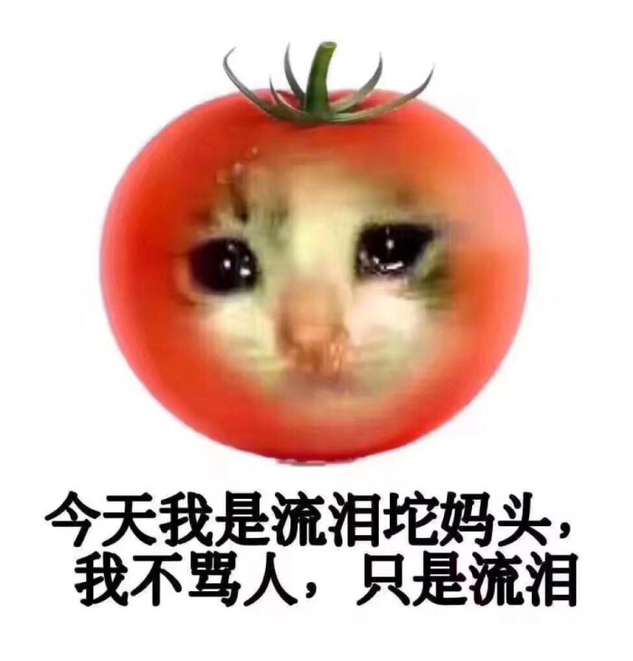 流泪tomato