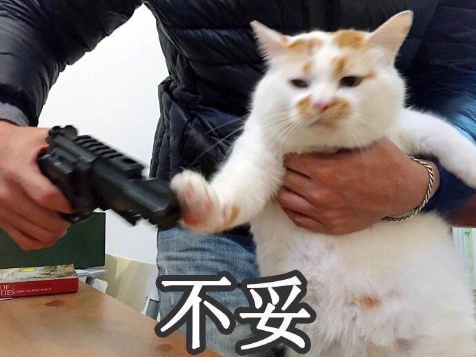 沙雕表情包