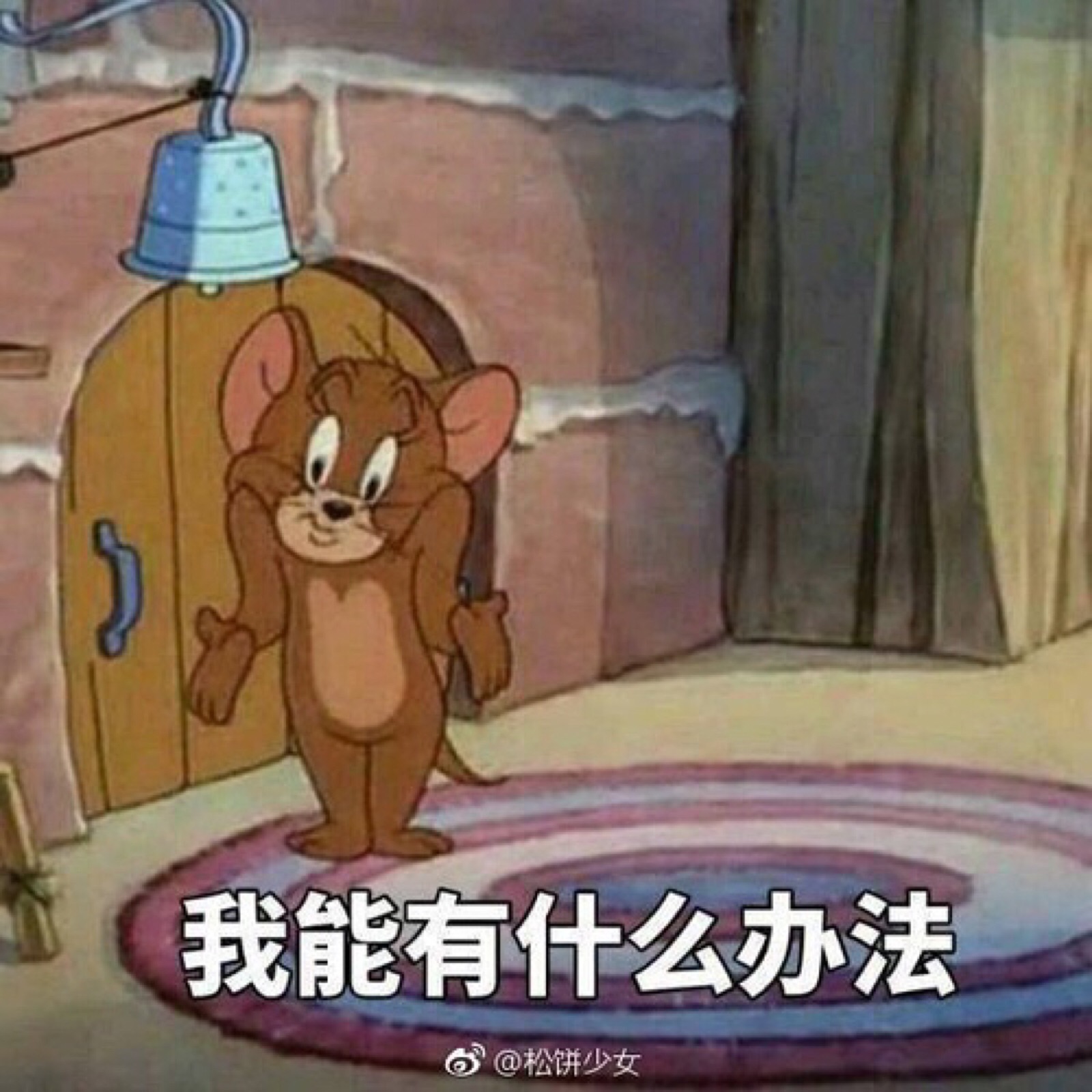 表情包,猫和老鼠