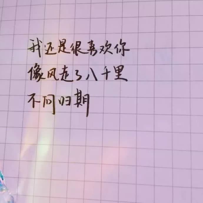 我应该是喜欢你(文字壁纸)