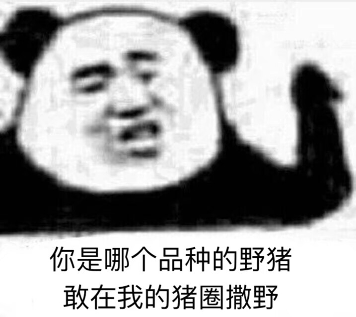 熊猫头表情包