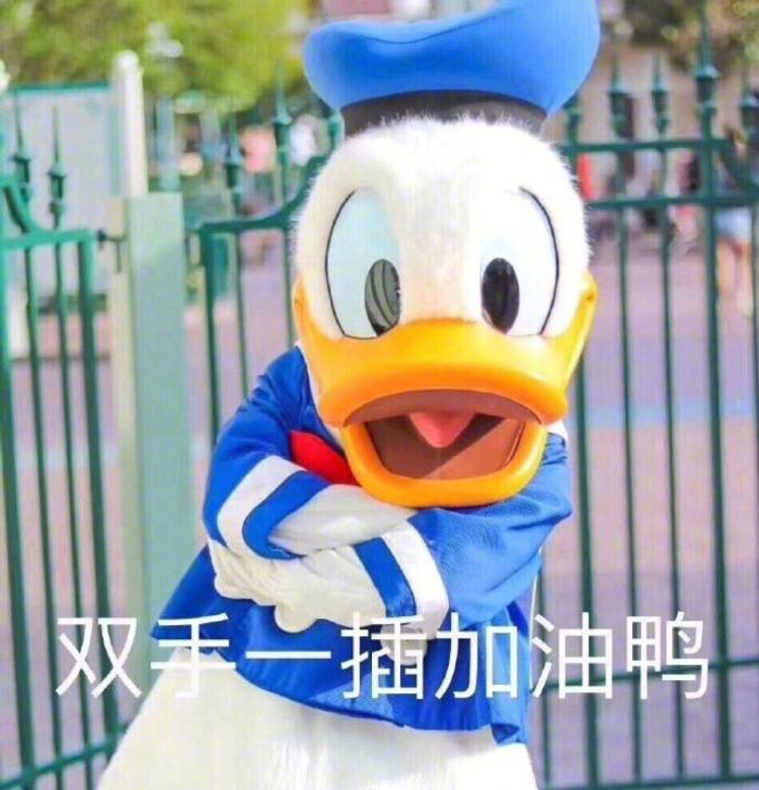 鸭鸭表情包/原cr