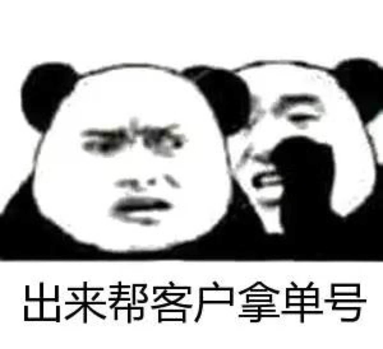 网黄猫熊猫人
