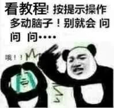 网黄猫熊猫人