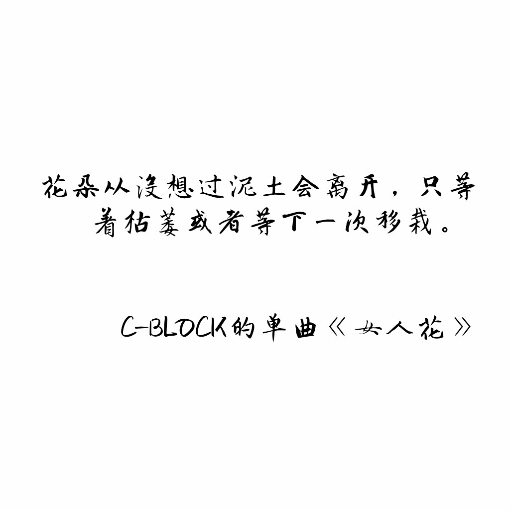 花朵从没想过泥土会离开,只等着枯萎或者等下一次移栽.