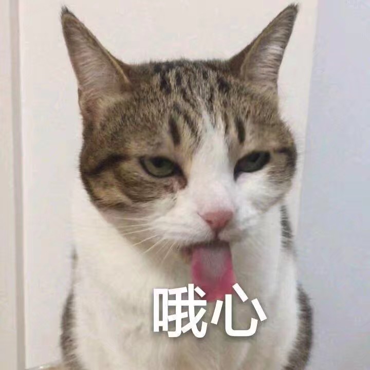 猫表情包