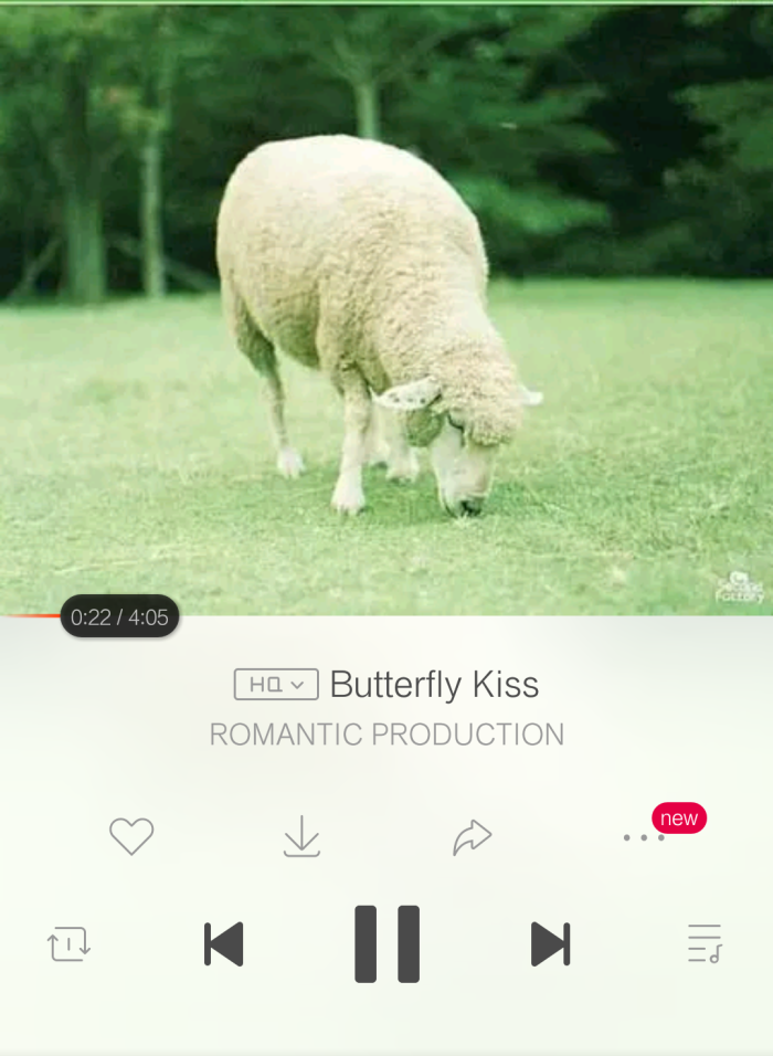 Butterfly Kisses(蝴蝶之吻)是很多部电影的…-堆