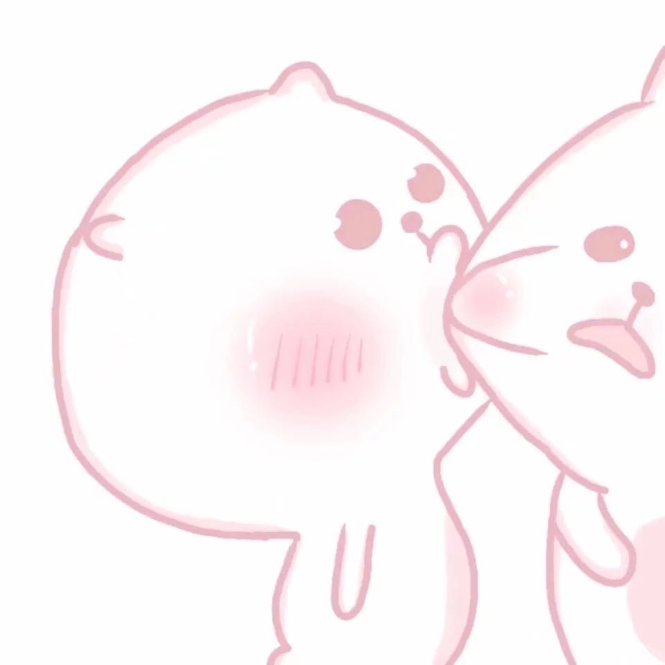 猪情头 