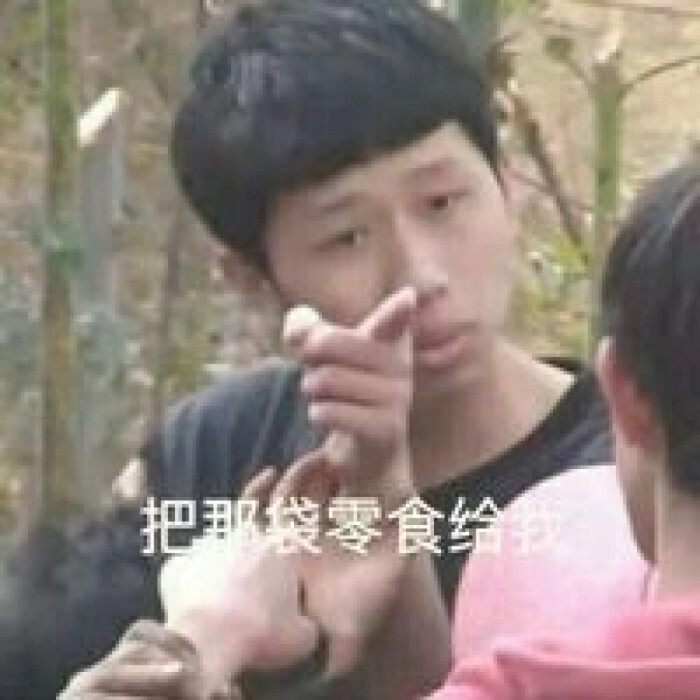 表情包.王境泽.