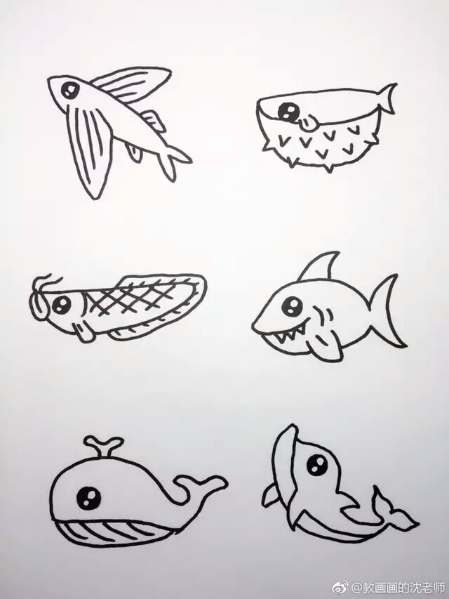 大海和海底动物们的简笔画 来自:教画画的沈老师