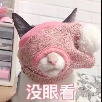 小可爱表情包