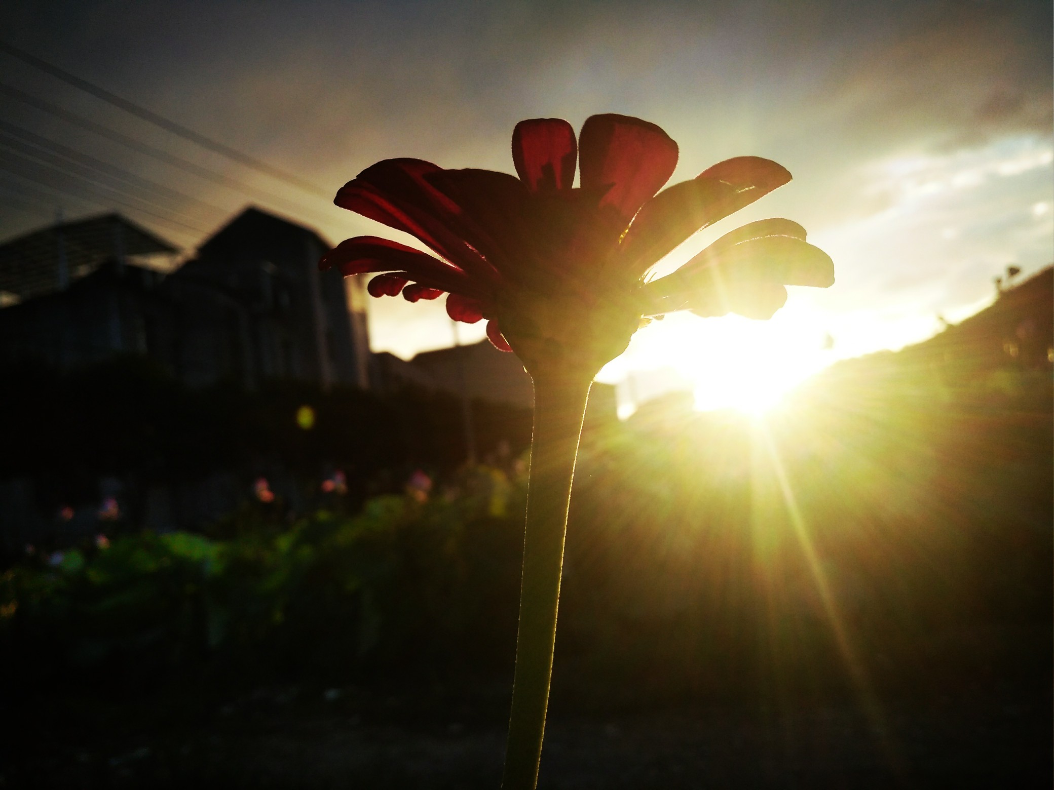 2018/07/12央于傍晚