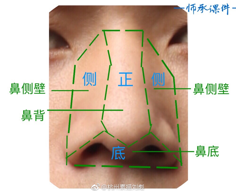 鼻子形体结构分析一波 #手绘插画教程#(via 杭州素描刘彪 )