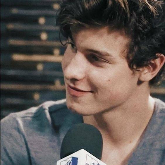 shawn mendes